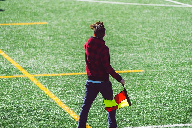 发展的战略 发展的战略