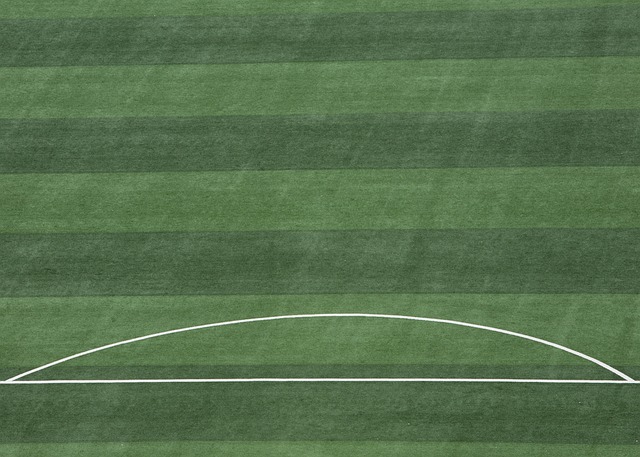 分发挥球员 分发挥球员