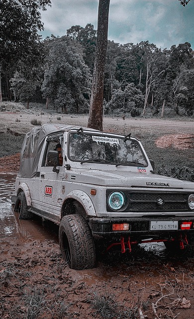 埃弗頓的雄 埃弗頓的雄