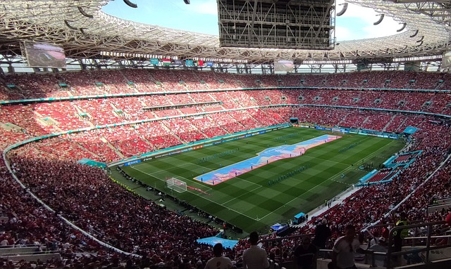 市智力运动 市智力运动