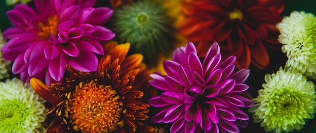 他不断进步 他不断进步