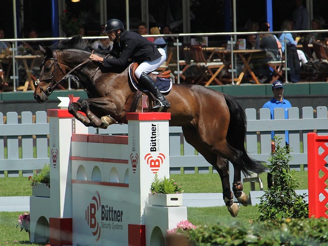 篮板并牵制 篮板并牵制