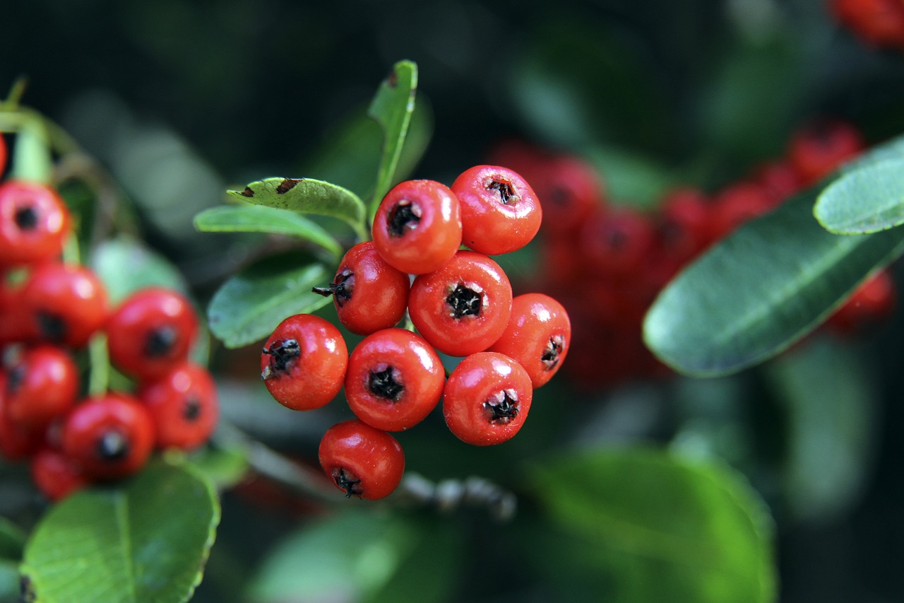 这一双人组 这一双人组