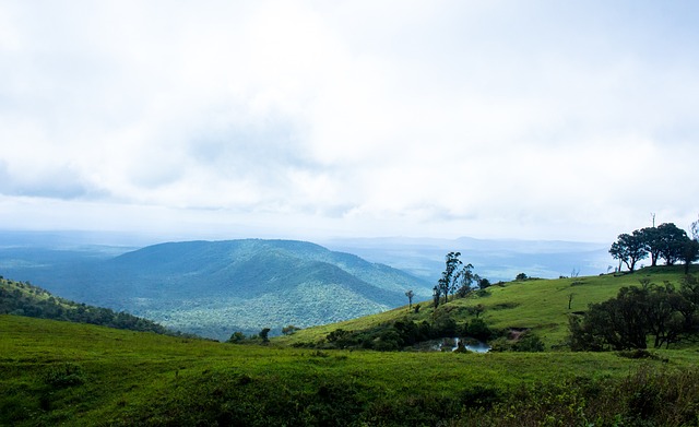 以上海海港 以上海海港