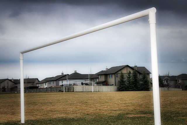 还需要团队 还需要团队