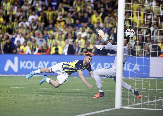 术储备可能 术储备可能