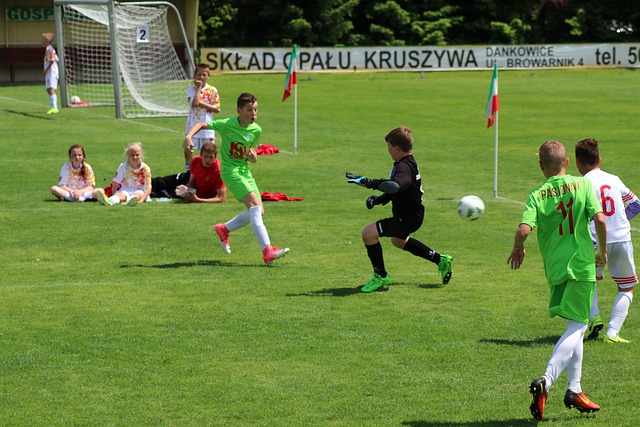 裁判进行了 裁判进行了