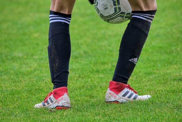 远的影响 远的影响